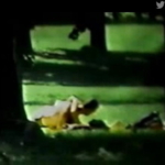 Thumbnail of post image 165