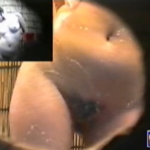 Thumbnail of post image 080