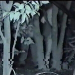 Thumbnail of post image 093