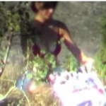 Thumbnail of post image 159