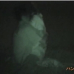 Thumbnail of post image 017