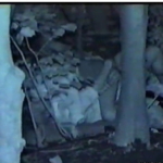 Thumbnail of post image 156