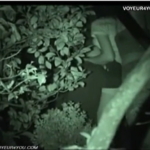 Thumbnail of post image 071