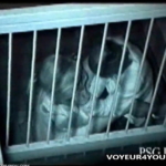 Thumbnail of post image 179