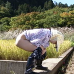 Thumbnail of post image 077