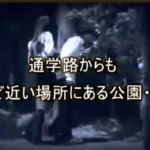 Thumbnail of post image 103